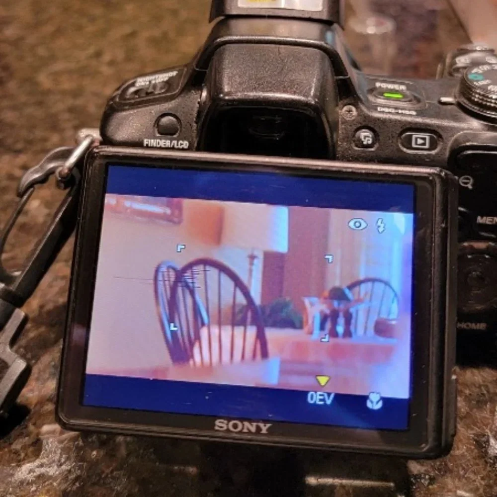Sony Cyber-shot DSCH50 9.1 MP Digital Camera with Optical Zoom Super steady Shot